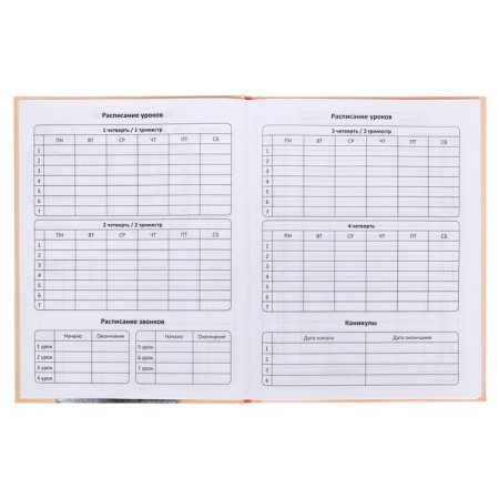 Diary solid cover 1-11 grade 48 sheets, "Iskra", cover cardboard 7BC, glossy lamination, cheat sheet-5