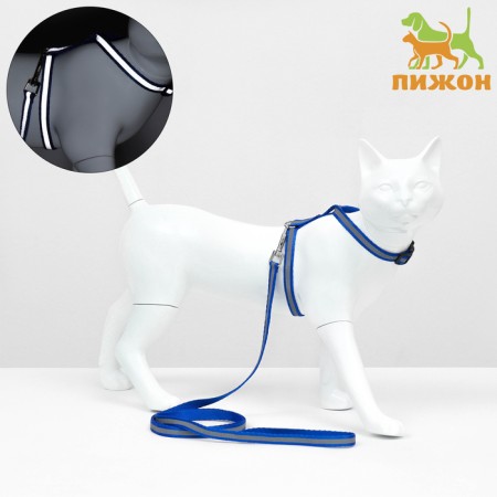 The kit for cats is reflective, width 1 cm, harness 21-35 cm, leash 120 cm, blue
