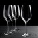 A set of glass glasses for the wine “TIME TIME. Bordeaux ", 580 ml, 4 pcs