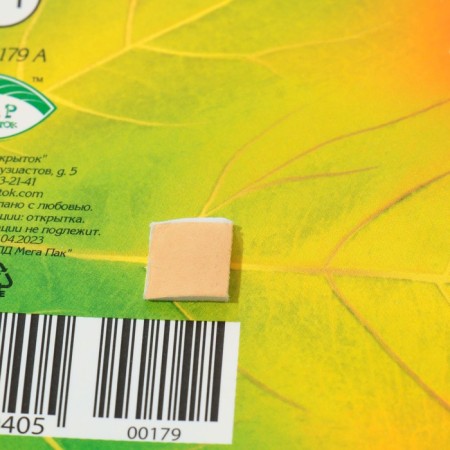 Decoration on the adhesive tape "Maple leaf" Green, orange, 18x18 cm-2