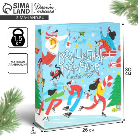 Laminated vertical “Winter skating rink”, m 26 x 30 x 9 cm, New Year