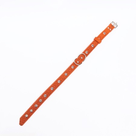 Collar leather reinforced with a kapron with a half-ring, 55 x 2.5 cm, Osh 27-53 cm, red-2