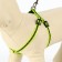 The reflective “bones” set, a collar 120 x 1 cm, Osh 26-42 cm, fire 26-42 cm, green
