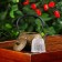 The teapot is a cast -iron shade “Wave. Ethno ", 300 ml, with sieve, bronze color