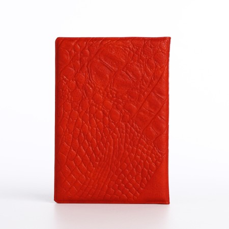 Cover for passport, red-1