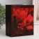 Photo album in 100 photos "Tulip" 10x15 cm