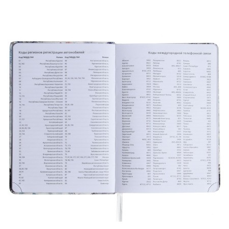 Leduced Diary A5, 160 sheets, Devente.elizabeth, solid cover of artificial leather with foam rubber, color cut, a, clock 70 g/m2, gray-6