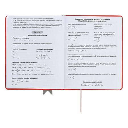 Universal diary for grades 1-11 Lenta, solid cover of artificial leather, applique, silkography, liesse, 48 sheets, red-12