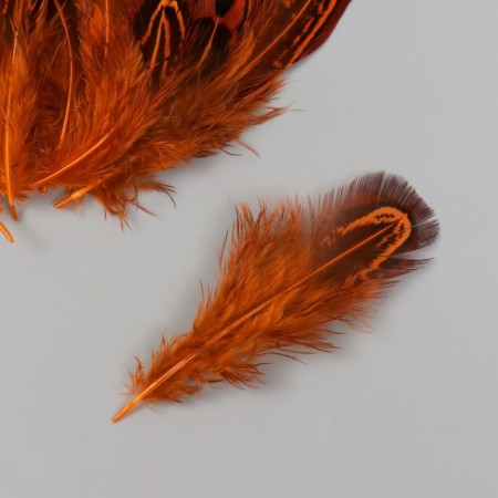 Decorative pheasant feather "Rice. Orange" set 20 pcs h = 5-7 cm-1