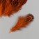 Decorative pheasant feather "Rice. Orange" set 20 pcs h = 5-7 cm