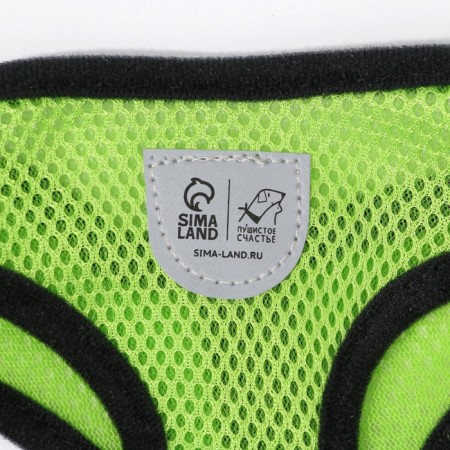 Drinking harness with a leash and reflective patch, s, ok 27, og 30-38, green-4