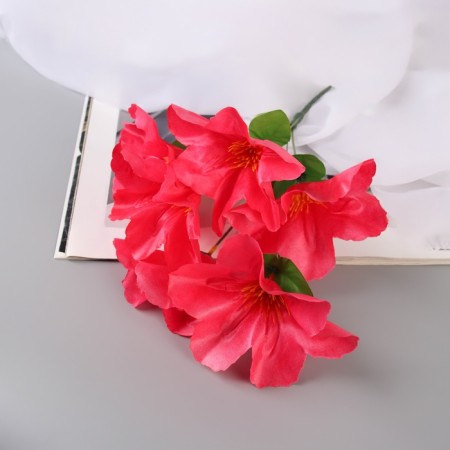 Bouquet "Adenium Extra Galant" D-14 cm 30 cm, mix-2