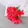 Bouquet "Adenium Extra Galant" D-14 cm 30 cm, mix