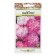 Flowers of Astra "Gray Bouquet", 0.1 g