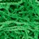 Paper filler, green, 100 g