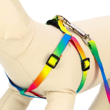 Set "Rainbow", Kapron, leash 120 x 1 cm, fire 24-34 cm, multi-colored-2