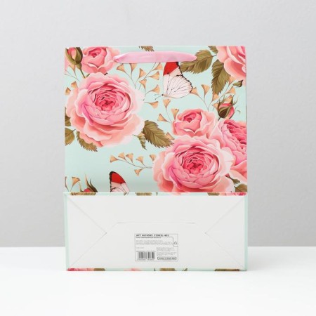 Laminated package, 26 x 32 x 12 cm-1