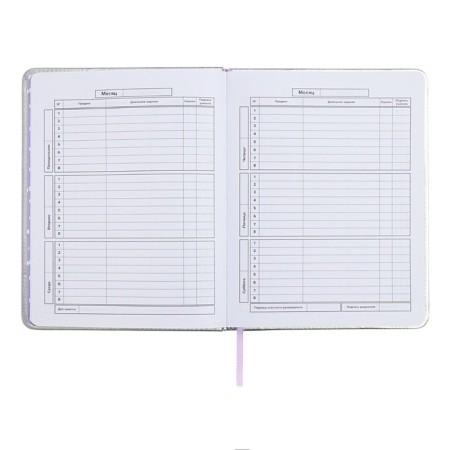 School diary for grades 1-11 "cat", firm covering with foam, artificial leather, application, foil embossing, liesse, 48 sheets, universal cheat sheet, block 80g/m2-8