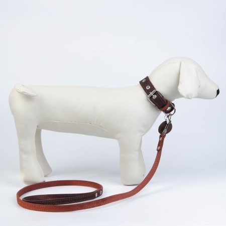 Set: collar (36-56x2.5 cm) and leash (130x1.5 cm), brown and cognac-1