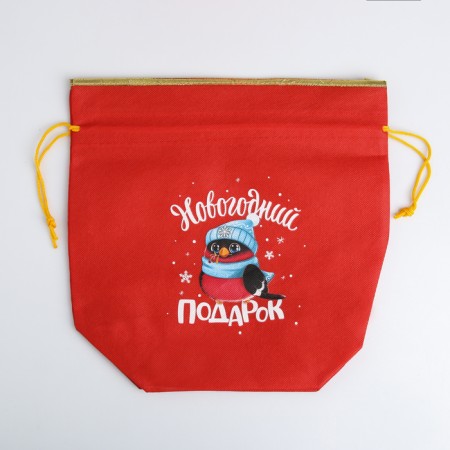 Gift bag "New Year's gift", 28 x 28 cm +/- 1.5 cm, New Year-1