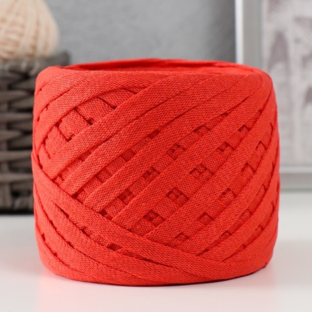 Knitted yarn "Ribbon" 85m/170 ± 5 g (persimmons)