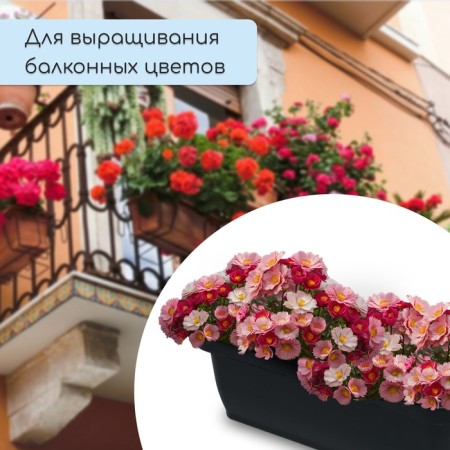 Box for seedlings, 36 × 15 × 12.5 cm, 4 l, color mix-4