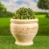 SELEN POVITS 4L / 19cm