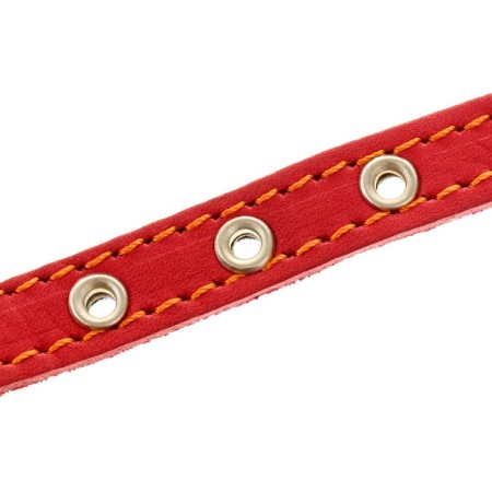 Leather collar on synthetic winterizer, dimensionless, 37 x 1.5 cm, Osh 21-31 cm, red-3