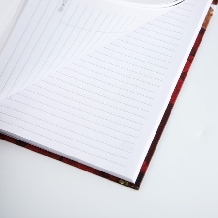Diary A5, 80 liters, solid cover "Bordeaux teacher"-3