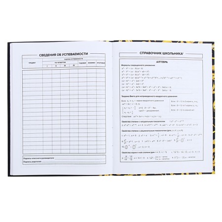 Universal Grade 1-11 Diary, 48 sheets "Art Banan", integral cover, matte lamination, selective UV-fluid-8
