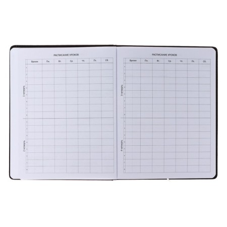 Universal diary for grade 1-11 Hello Girl, hard cover, artificial leather, with foam rubber, liesse, 80 g/m2-4