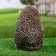 Garden figure "Hedgehog with mushrooms" 12x13x16cm