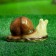 Garden figure "Snails" set 4pcs, 13x7.5cm