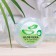 Lip balm Coco Blues "Aloe Vera", 5 g