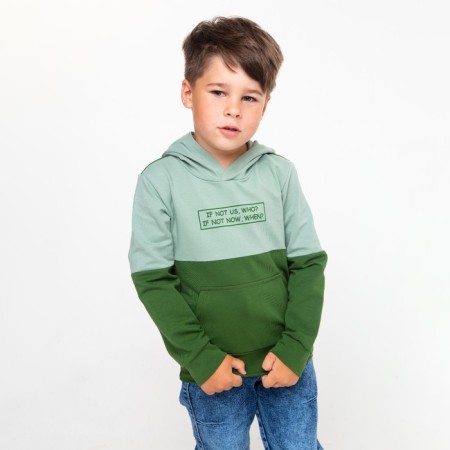 Sweatshirt for a boy, the color is gray-green, height is 104 cm-1