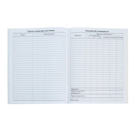 Universal diary for grades 1-11, Gossimvolika of Russia-3, soft cover, 40 sheets-7