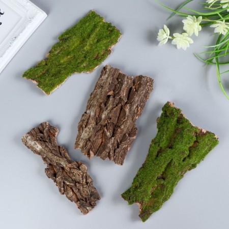 Bark for decor "Blumentag" (set 4 pcs)