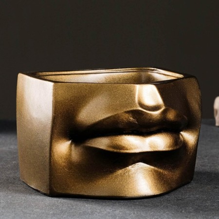 Kashpo - organizer "Lips of David" Bronze, 16x11x15.5cm-1