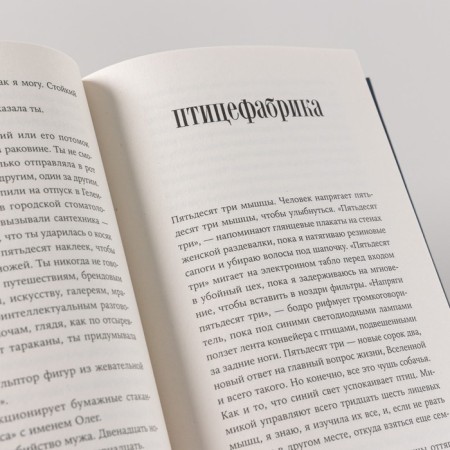 Вторжение. Гритт М.-6