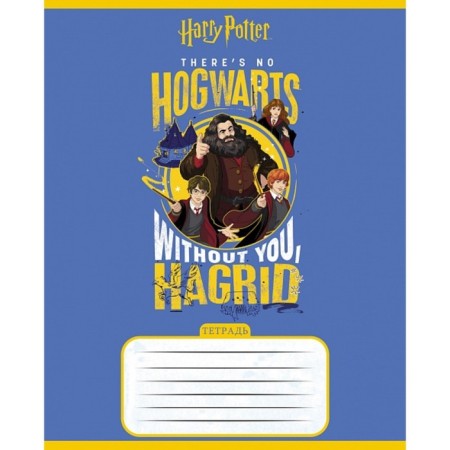 Notebook 18 sheets, in a cage, Harry Potter, cover coated cardboard, rounded corners, mix