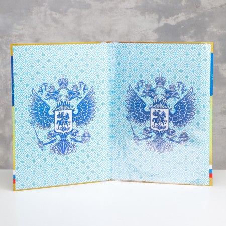 Folder with two A4 files "Graduate Diploma" Coat of arms and tricolor on a gold background-1