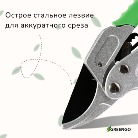 Contact secaterator, 7 "(18 cm), with a ratchet mechanism, plastic handles, Greengo-3