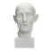 Gypsum figure is anatomical: head on the Goodon, 22 x 22 x 48 cm