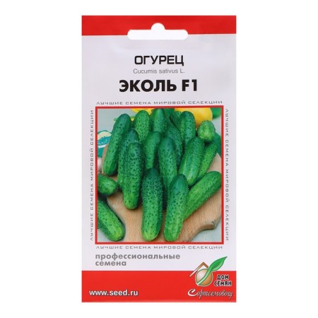 Cucumber seeds "Ekol F1", 6 pcs