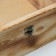 Gift box 25 × 25 × 11 cm is wooden, an outflow cover is 3 mm, firing