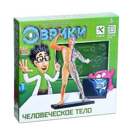 Scientific experience "human body"-5