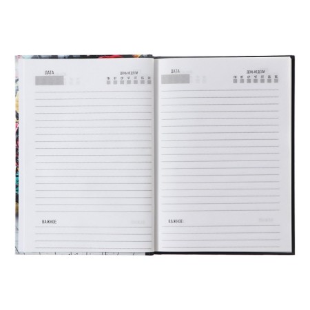 Delivery of Leduced A5, 80 sheets, solid cover "Keda. Urban", OFSET block-2
