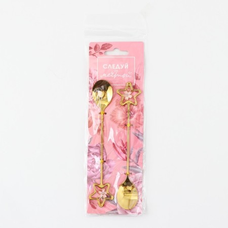 Gift set of spoons with suspensions "Follow the dream", 2 pcs., 15.8 x 2.5 cm-6