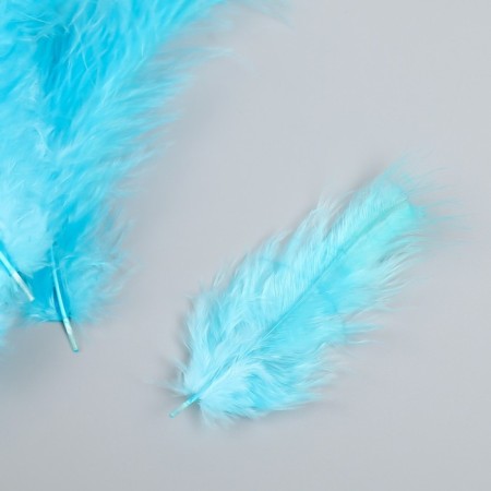 A set of feathers for creativity 30 pcs (14-17 cm), blue-1