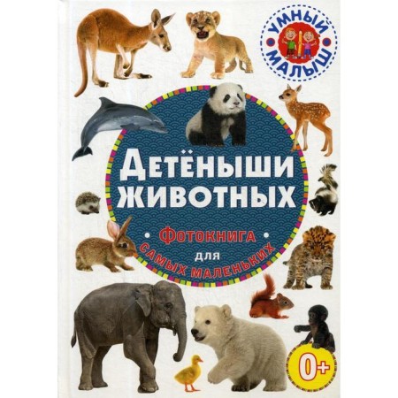 Cubs of animals. Photo book for the smallest